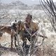 Imagen de la película Desierto