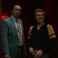 Como Perros Salvajes