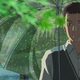 Imagen de la película The Garden of Words