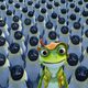 Imagen de la película Frog Kingdom