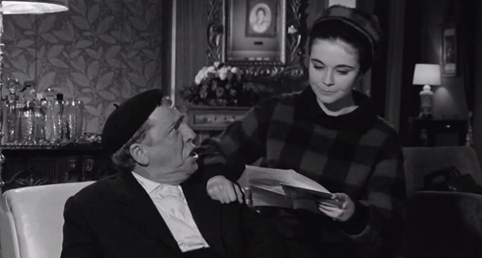 City Life Is Not for Me