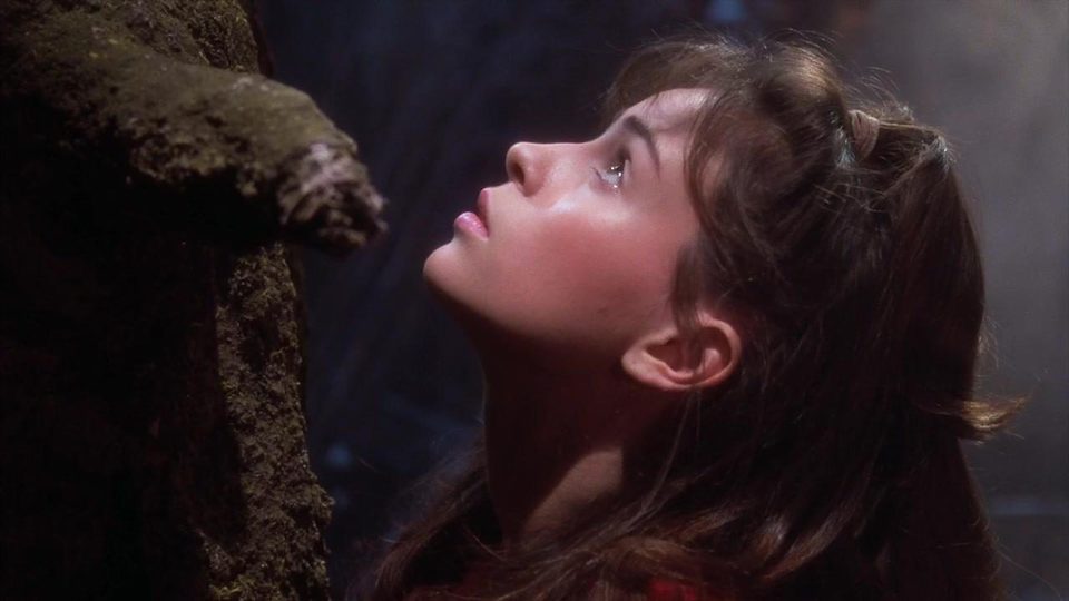 Imagen de la película The Company of Wolves
