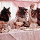 Imagen de la película The Company of Wolves