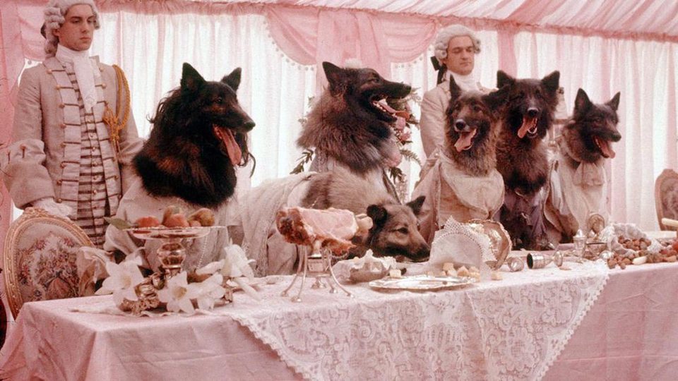 Imagen de la película The Company of Wolves