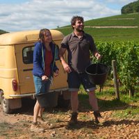 Foto de 'Back to Burgundy'