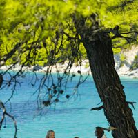 Foto de 'Mamma Mia!'