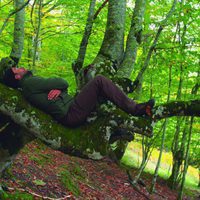 100 días de soledad