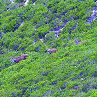 100 días de soledad