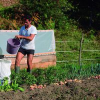 100 días de soledad