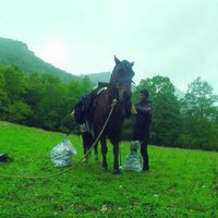 Foto de '100 días de soledad'