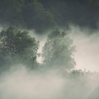 Foto de '100 días de soledad'