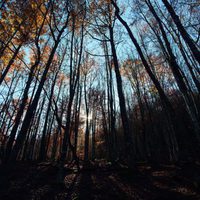 100 días de soledad