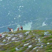 100 días de soledad