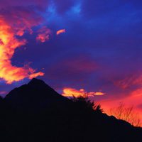 100 días de soledad