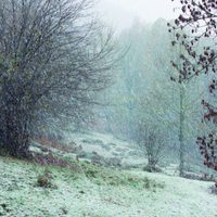 100 días de soledad