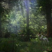 Foto de 'Annihilation'