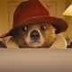 Imagen de la película Paddington 2