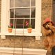 Imagen de la película Paddington 2