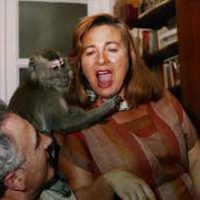 Foto de 'Lots of Kids, a Monkey and a Castle'
