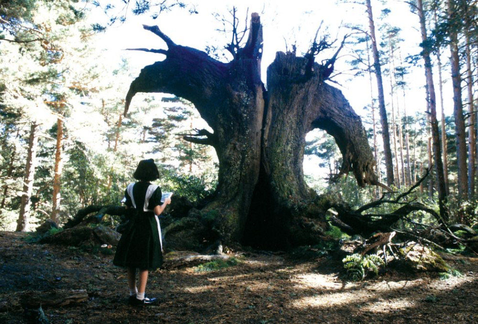 Imagen de la película Pan's Labyrinth