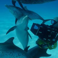Foto de 'Wonders of the Sea 3D'