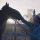 Imagen de la película The Rider