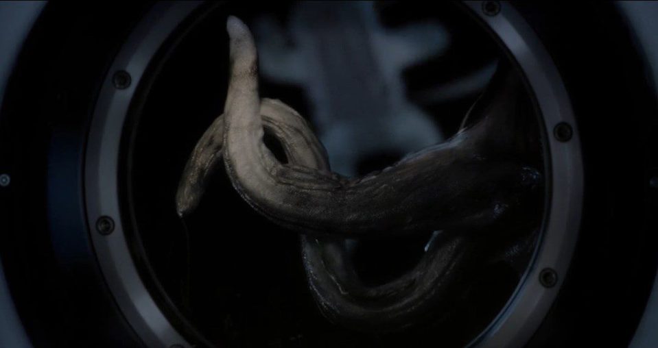 Imagen de la película Life