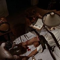 Foto de 'The Beguiled'