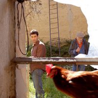 Un verano en la Provenza