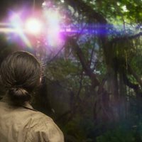 Foto de 'Annihilation'
