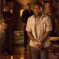 Foto de 'Gringo'
