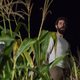 Imagen de la película A Quiet Place