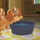 Imagen de la película Lady and The Tramp II: Scamp's Adventure