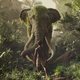 Imagen de la película Mowgli: Legend of the Jungle