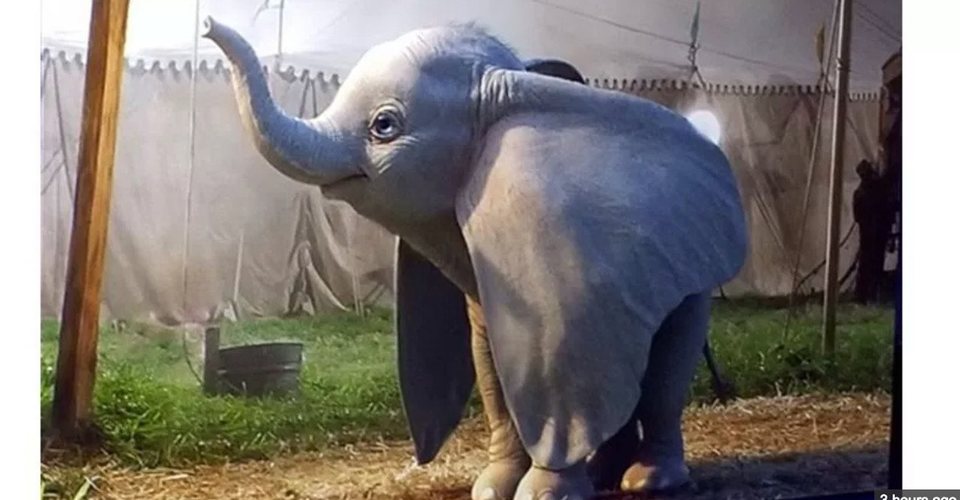 Imagen de la película Dumbo