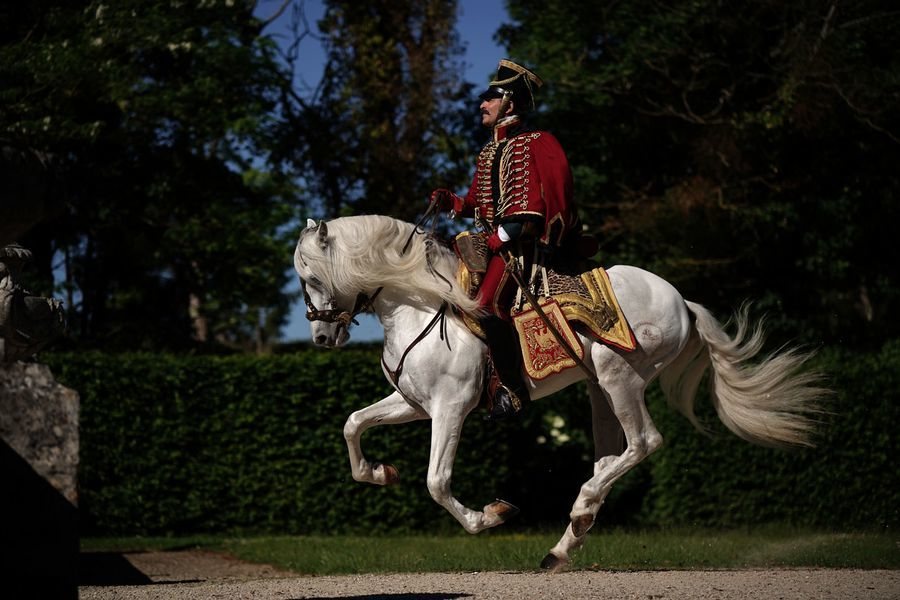 Imagen de la película Return of the Hero