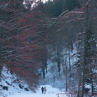 Drácula de Denise Castro