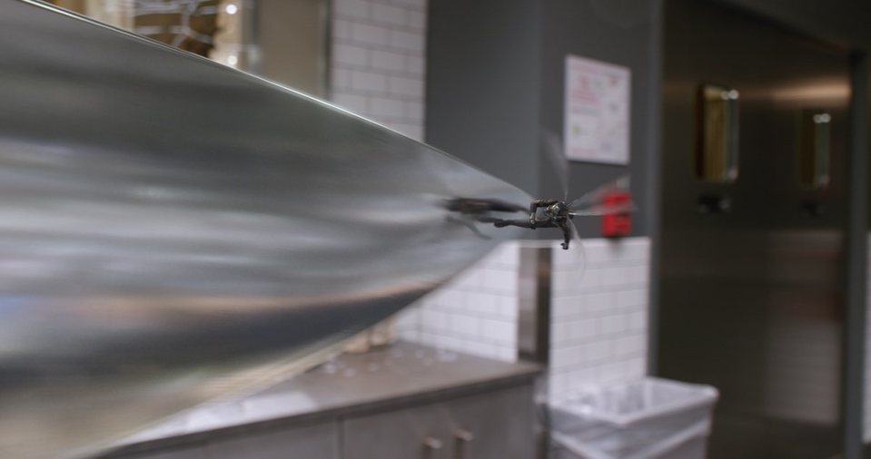 Imagen de la película Ant-Man and the Wasp