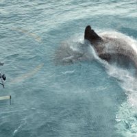 Foto de 'The Meg'