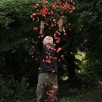 Leaning Into the Wind: Andy Goldsworthy