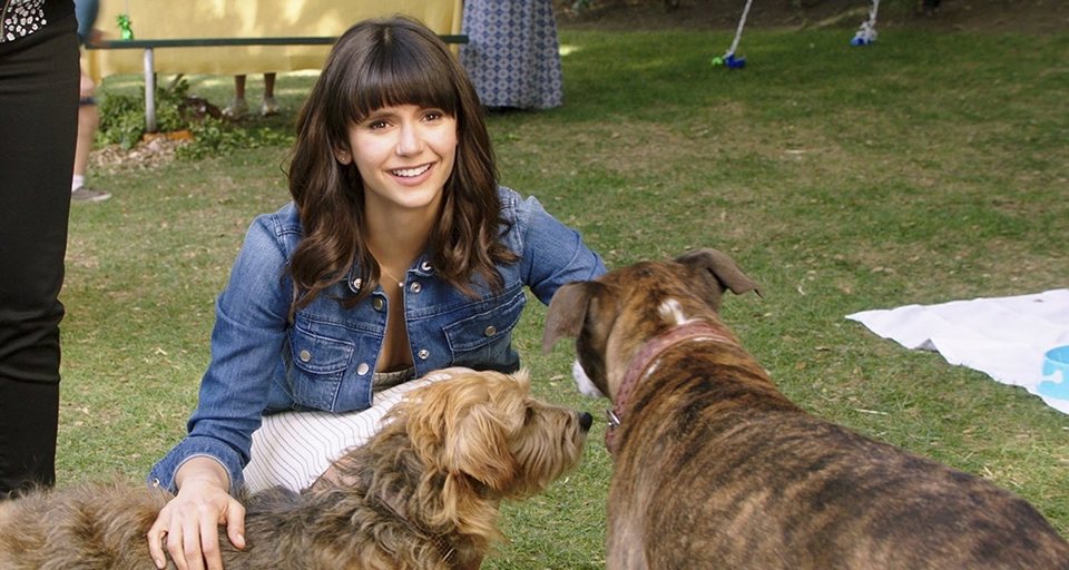 Imagen de la película Dog Days