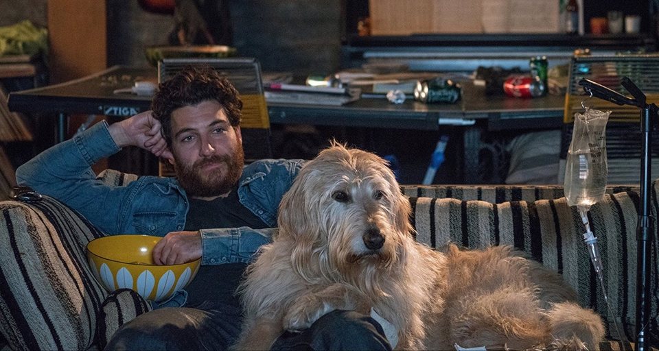 Imagen de la película Dog Days