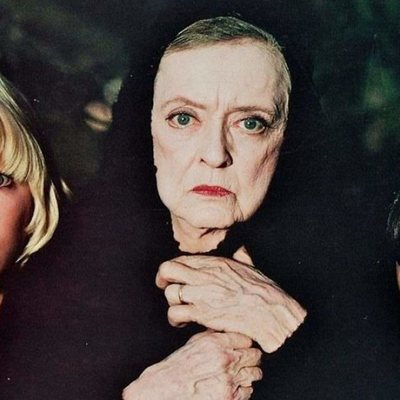 The Watcher in the Woods