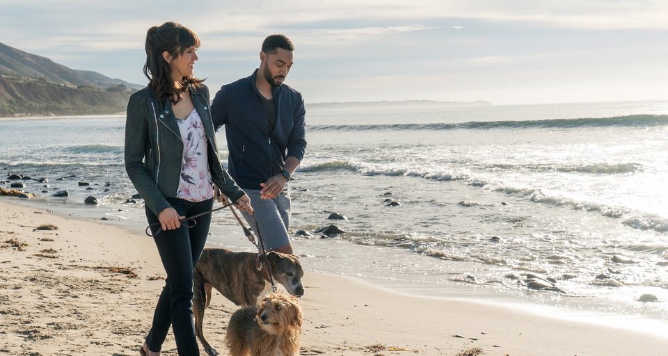 Imagen de la película Dog Days