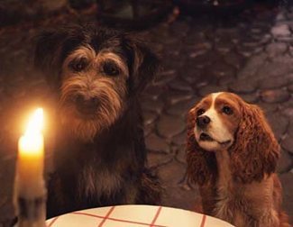 Disney's Live-Action 'Lady and the Tramp': Visually Captivating, But Failures to Capture the Magic and Charm of the Original