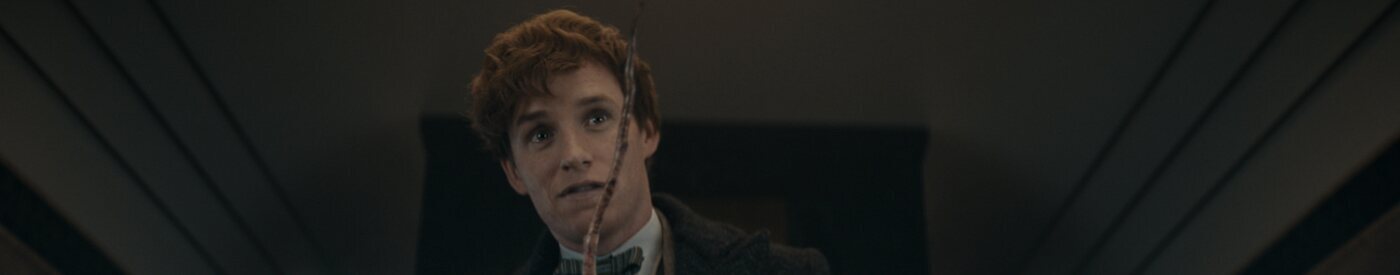 'Fantastic Beasts: The Secrets of Dumbledore': Jude Law and Eddie Redmayne explain what happened to Brazil