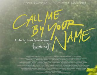 Armie Hammer's epic response to James Wood's homophobic tweet because of 'Call Me By Your Name'