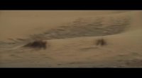 'Queen of the Desert' Trailer #2