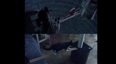 'The Empire Strikes back' cat parody