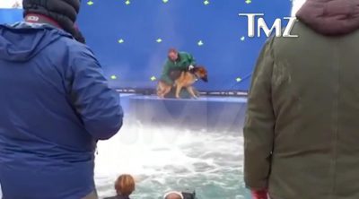 A dog is forced and put at risk while shooting 'A Dog's Purpose'